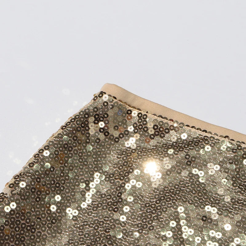 Paula Sequin Maxi Skirt – Fitted