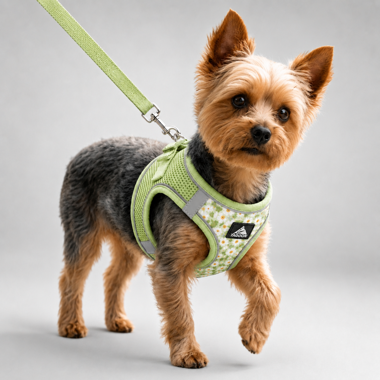 Nordspur | Striddler Adjustable No-Pull Pet Harness Set