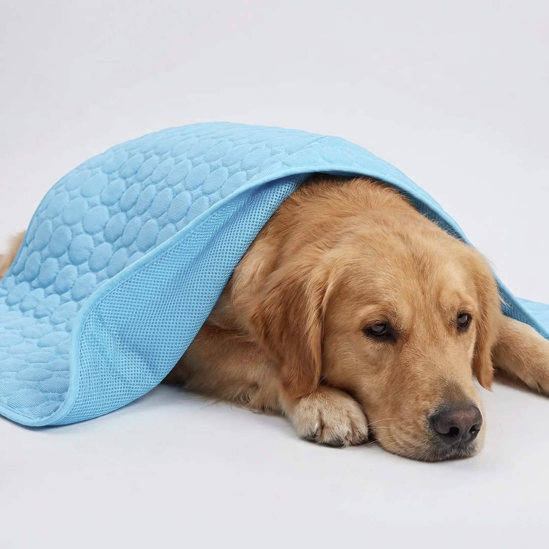 Nordspur | Coolpaw Breathable Mesh Cooling Pet Mat