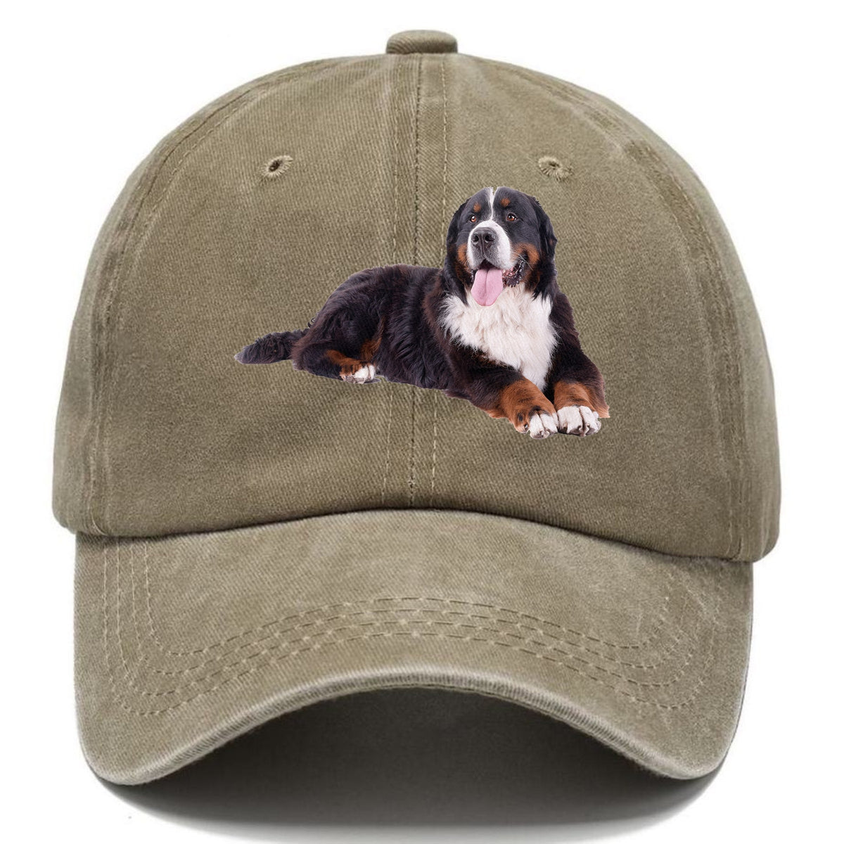Bernese Mountain Dog Classic Cap