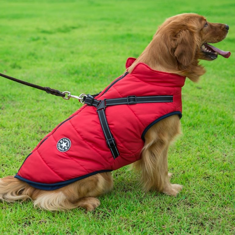 Winter Jacket for Dogs with Harness