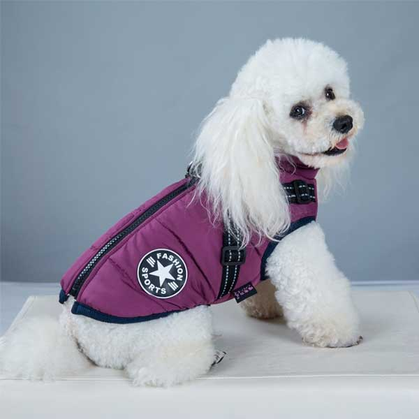 Winter Jacket for Dogs with Harness