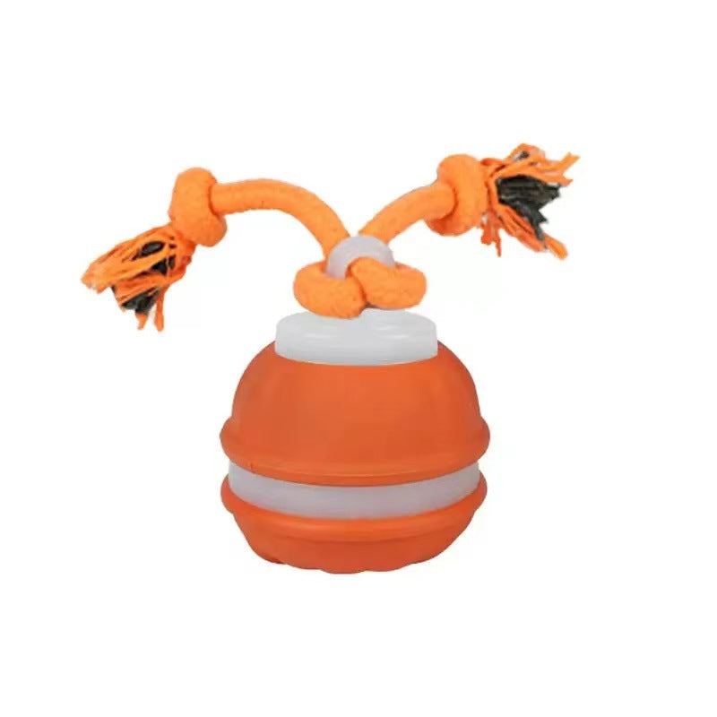 Durable Dog Play Ball with Motion Sensor and Tug Rope in Dog-Friendly Colours
