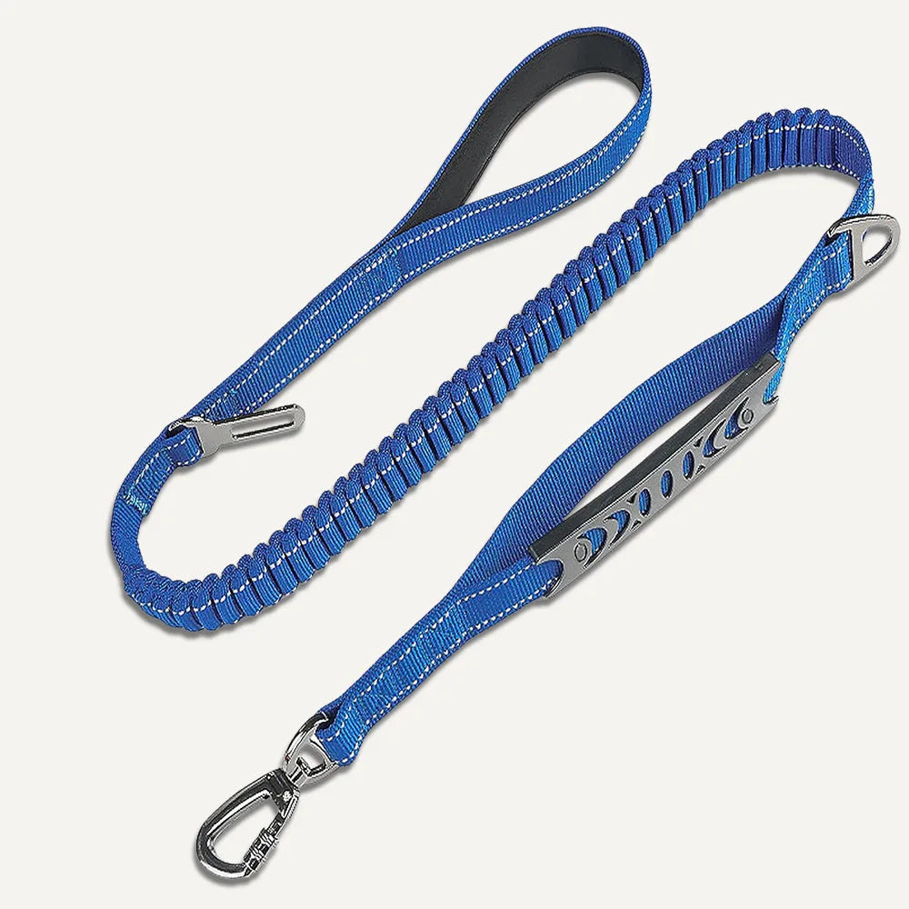Anti-Pull Dog Leash