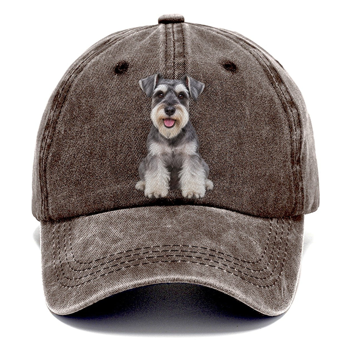 Miniature Schnauzer Sitting Top Breeds Classic Cap
