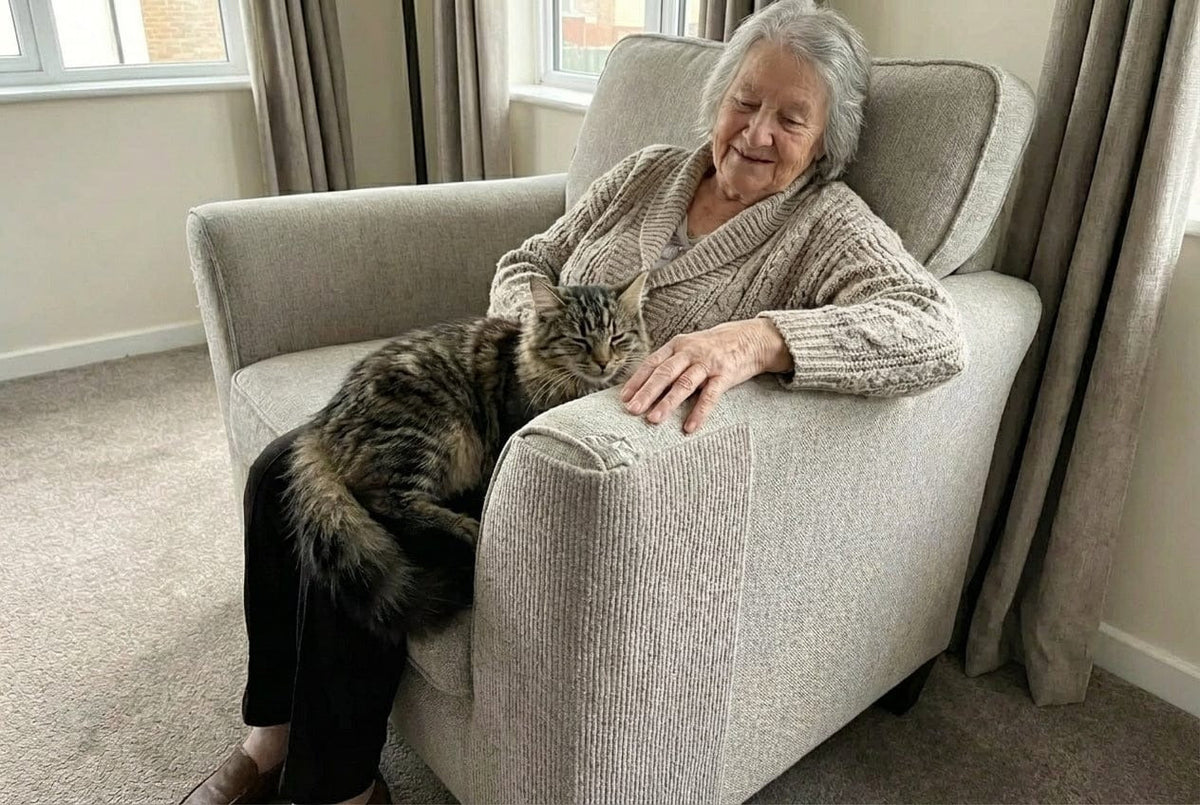 Self-Adhesive Cat Scratching Mat – Cut-to-Fit Scratch Protector for Sofas, Furniture & Cat Claw Care