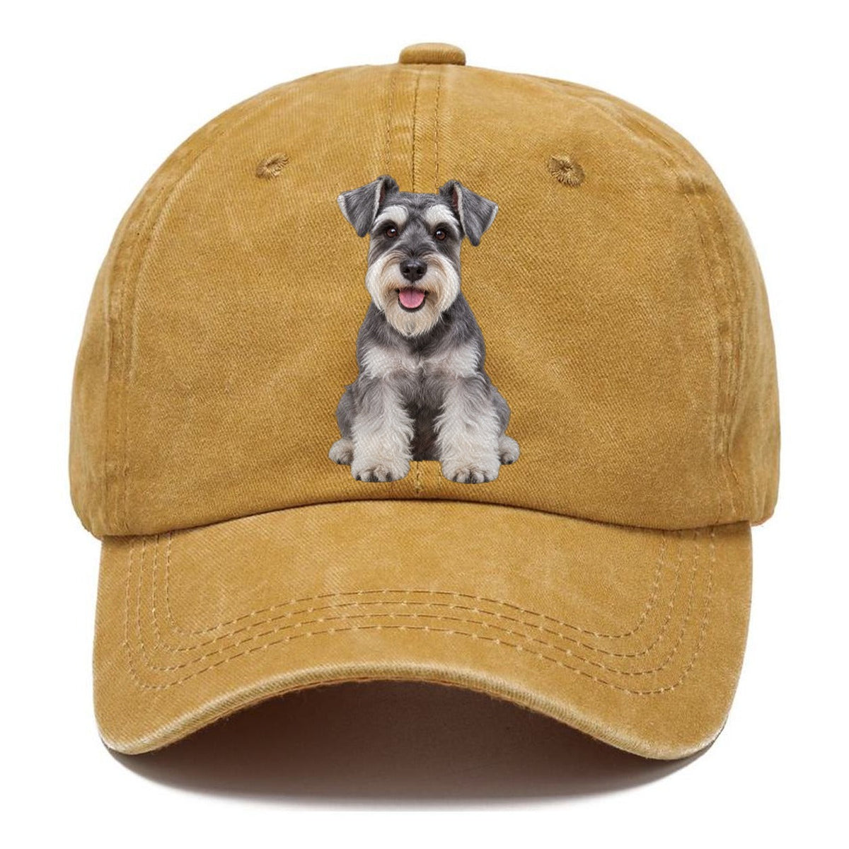Miniature Schnauzer Sitting Top Breeds Classic Cap