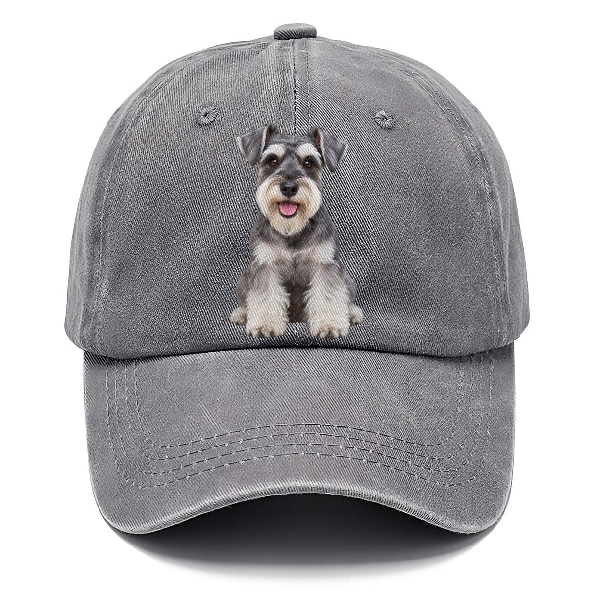 Miniature Schnauzer Sitting Top Breeds Classic Cap