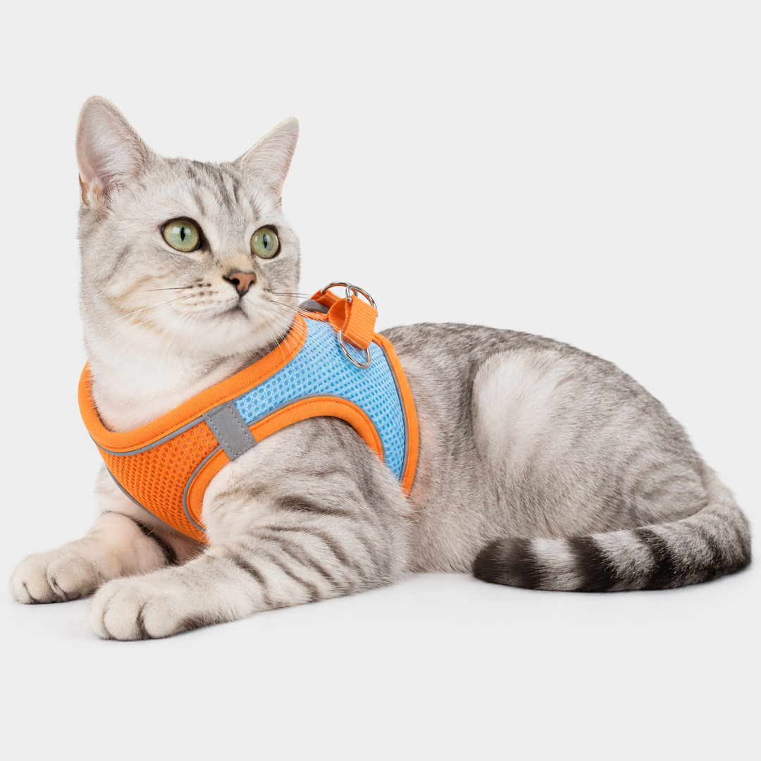 Nordspur | Snoutfit Adjustable Vest Harness With Matching Lead