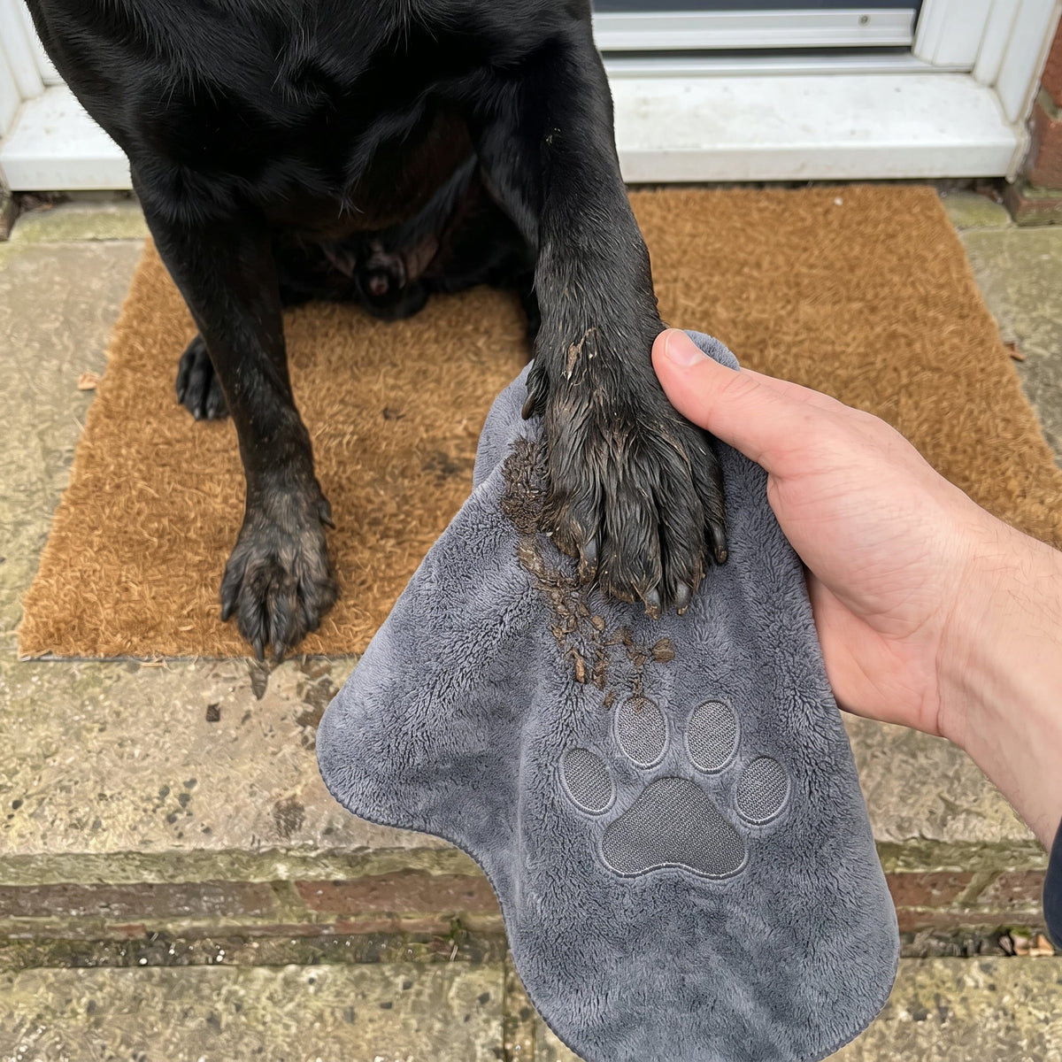 Paw Towel
