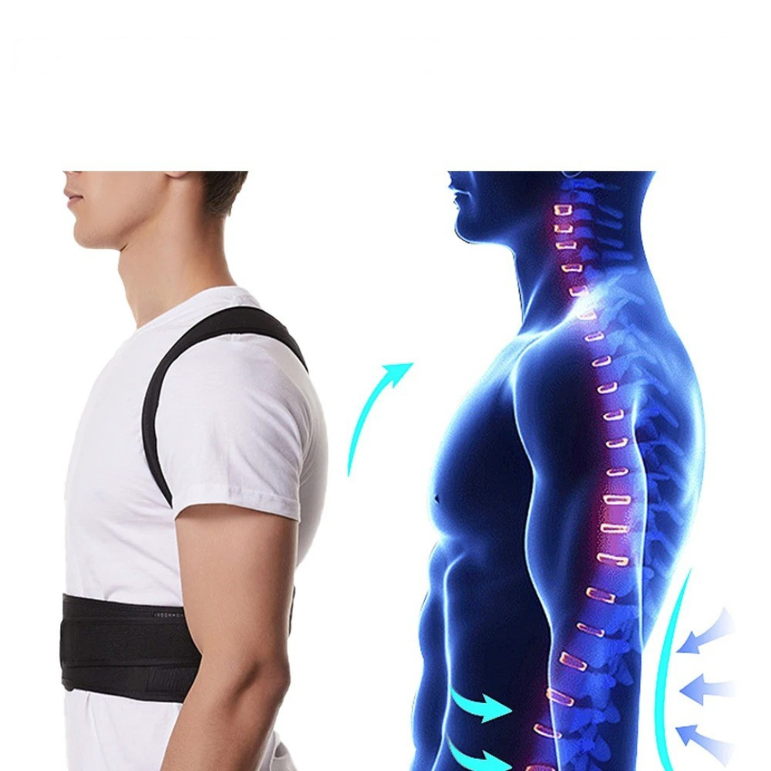 Nordspur | Spineva Adjustable Full Back Support