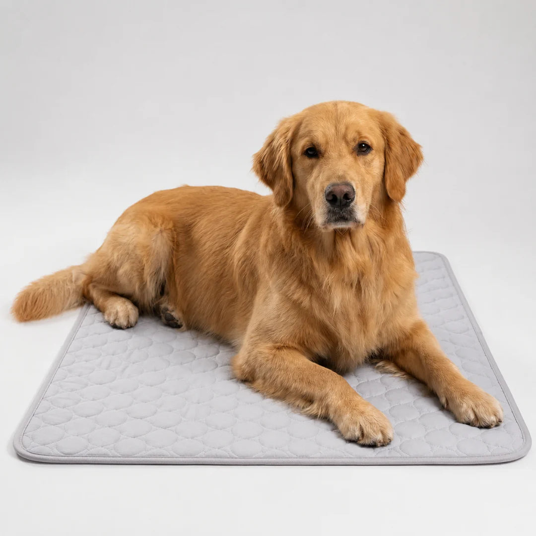 Nordspur | Frostbed Washable Pet Cooling Mat