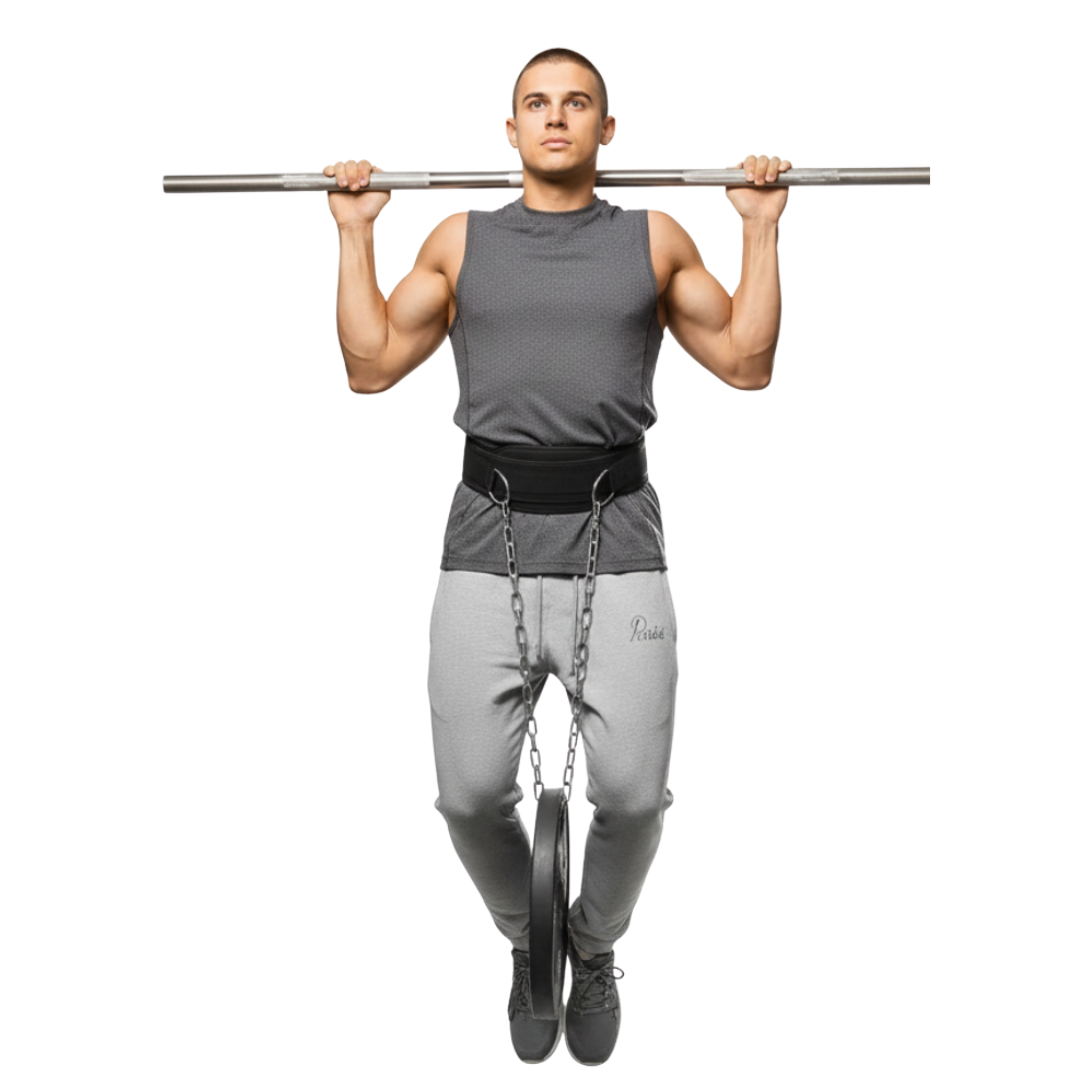 Nordspur | CoreVance Padded Dip And Pull Up Belt