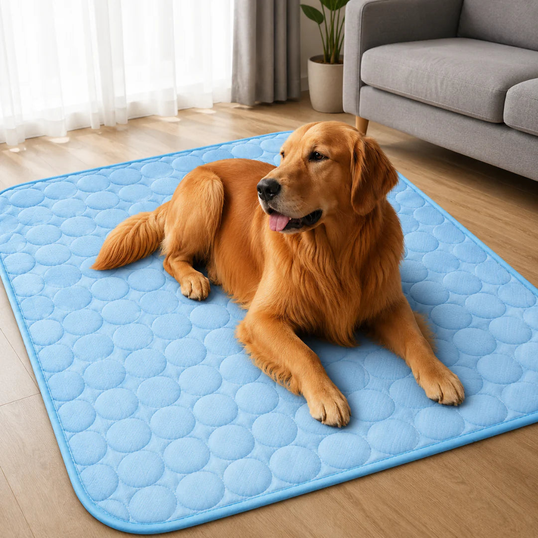Nordspur | Frostbed Washable Pet Cooling Mat