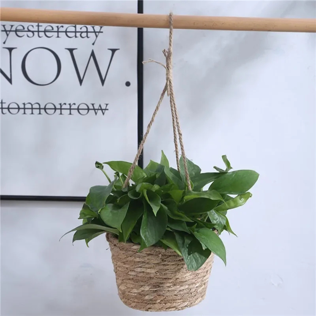 Nordspur | Hangvine Woven Rope Hanging Plant Basket