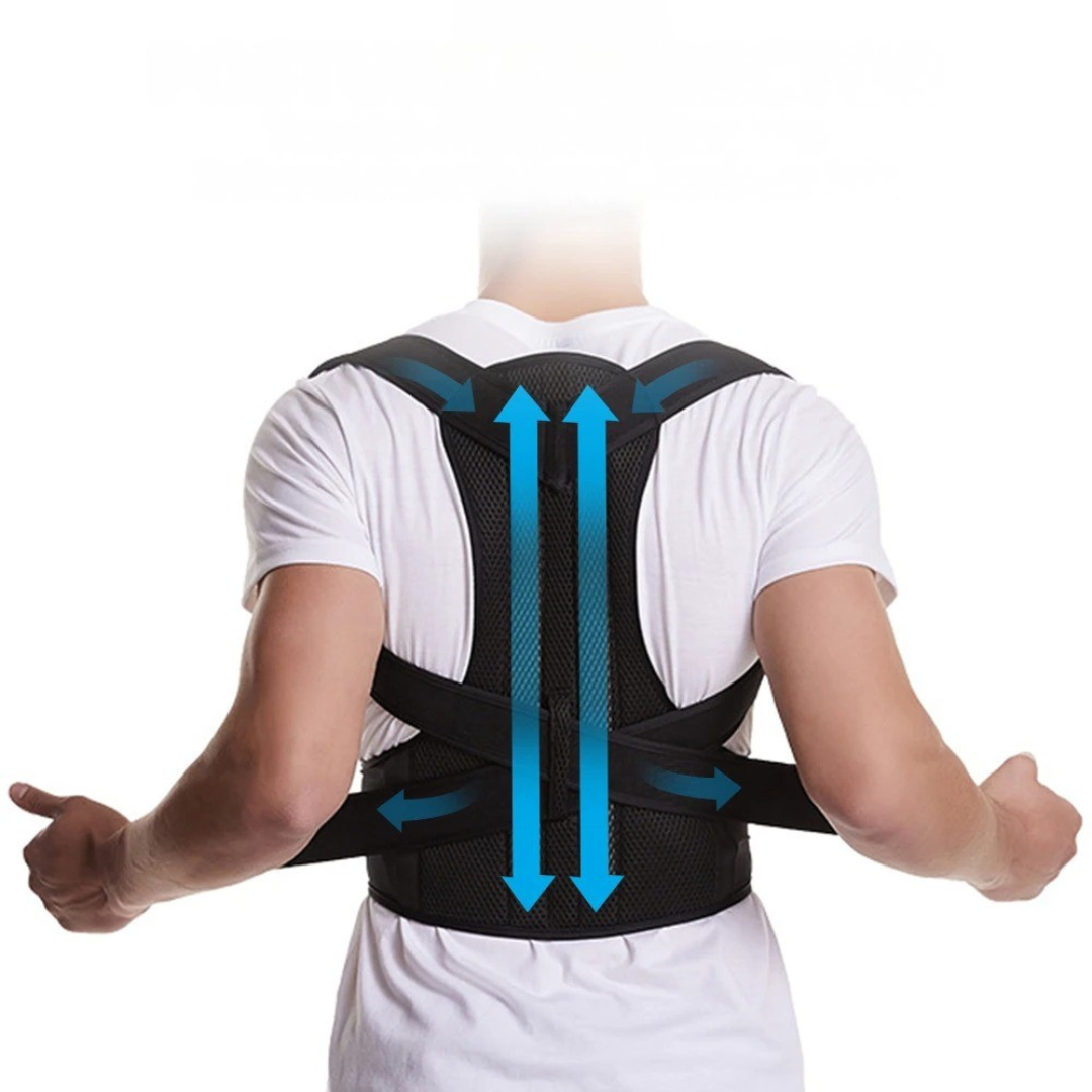 Nordspur | Spineva Adjustable Full Back Support