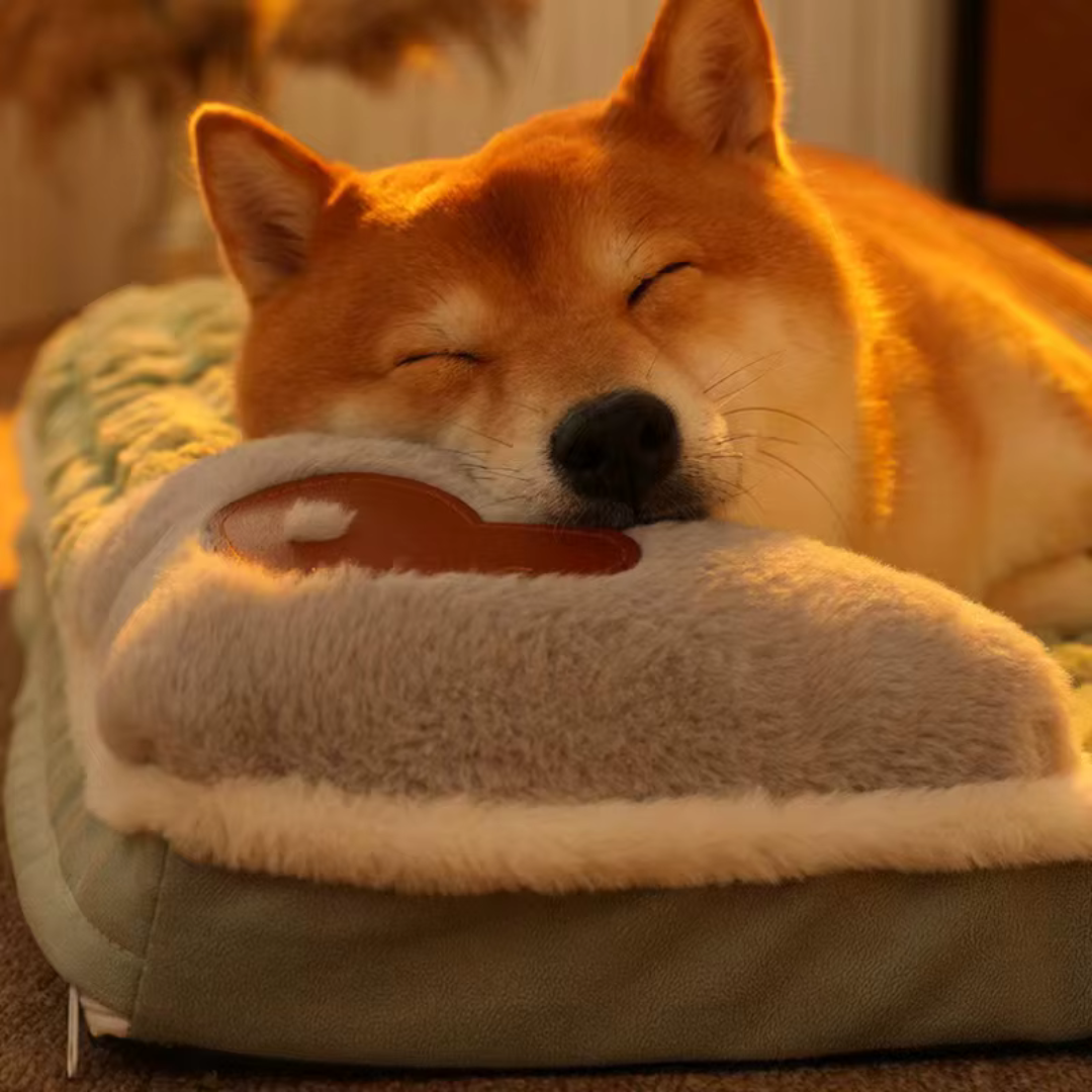 Nordspur | Pawselle Orthopedic Memory Foam Pet Bed