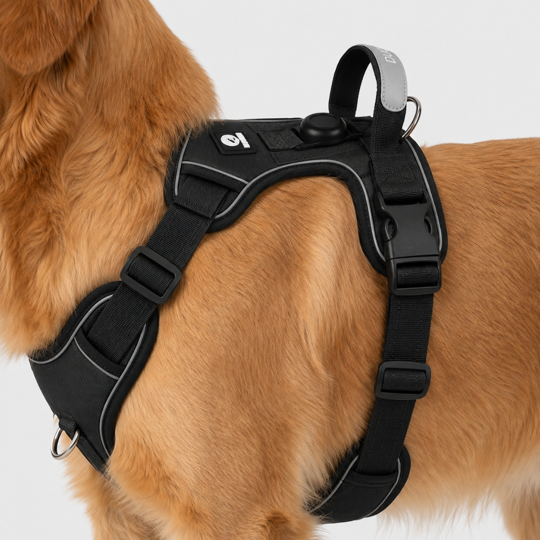 Nordspur | Strutpaw Adjustable No-Pull Chest Harness