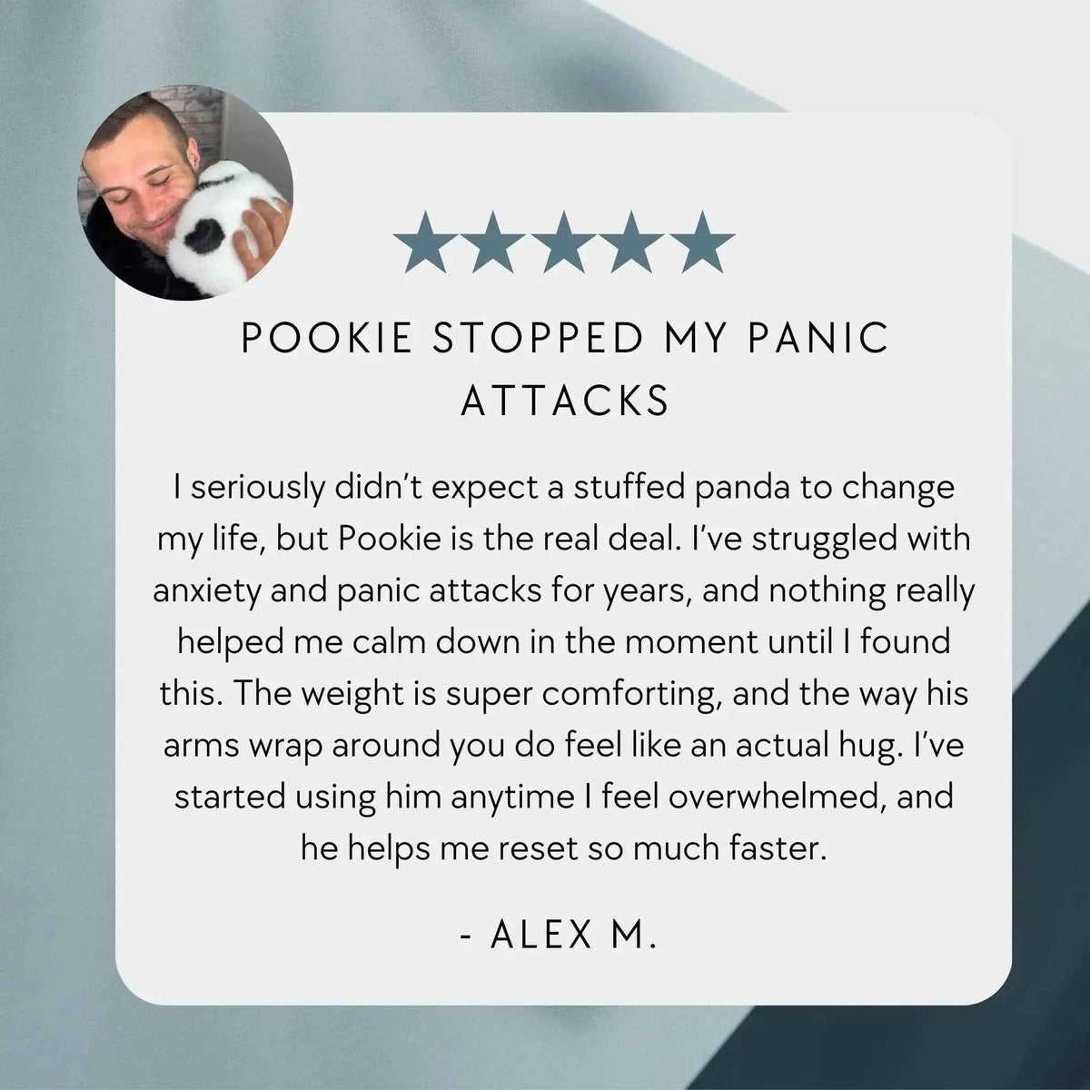 Pookie the Panda Weighted Animal