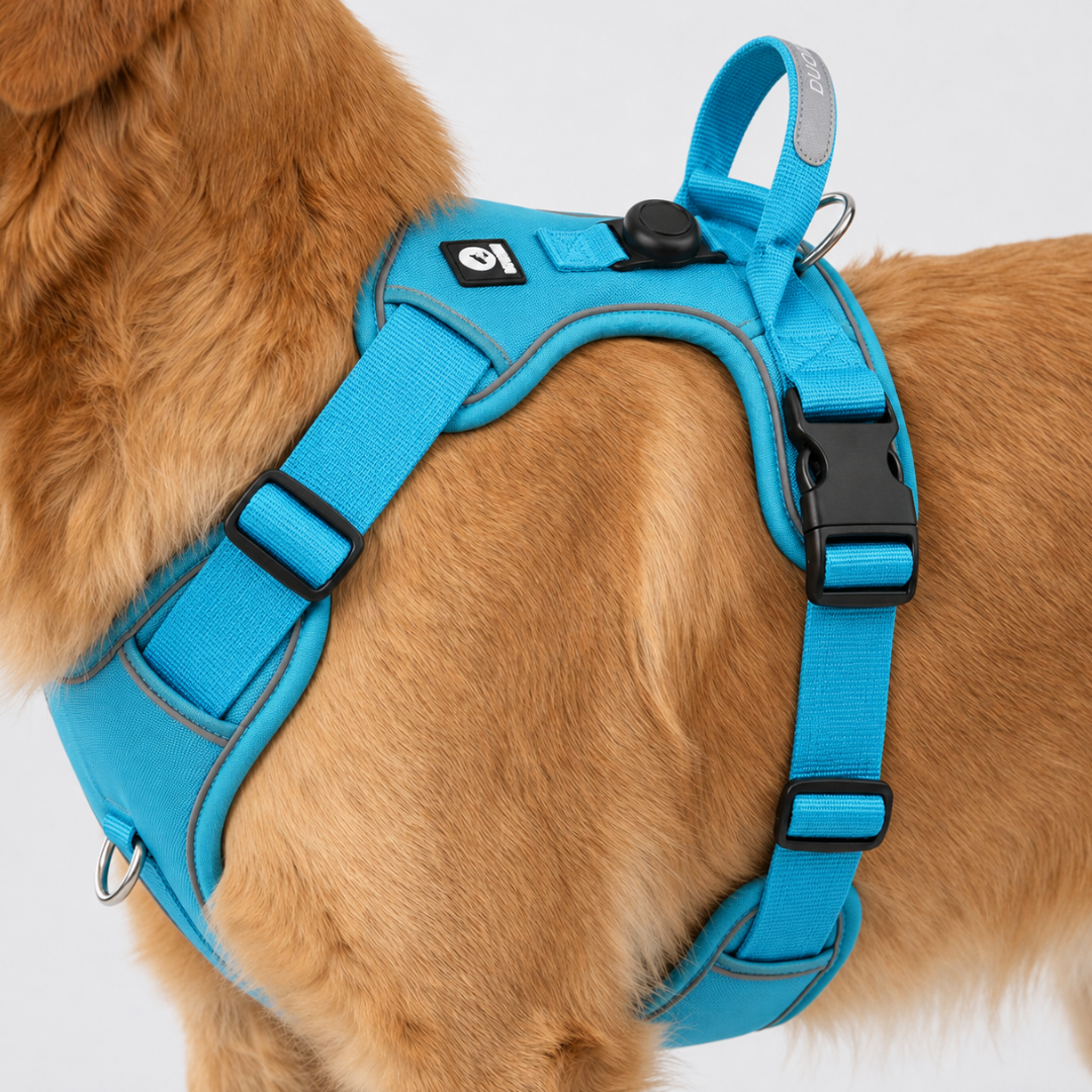 Nordspur | Strutpaw Adjustable No-Pull Chest Harness