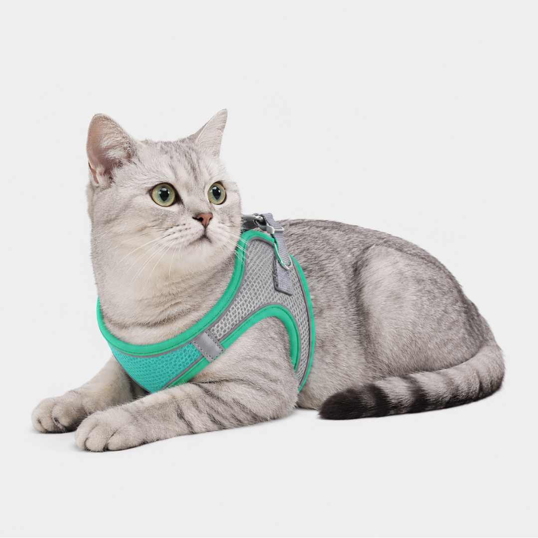 Nordspur | Snoutfit Adjustable Vest Harness With Matching Lead