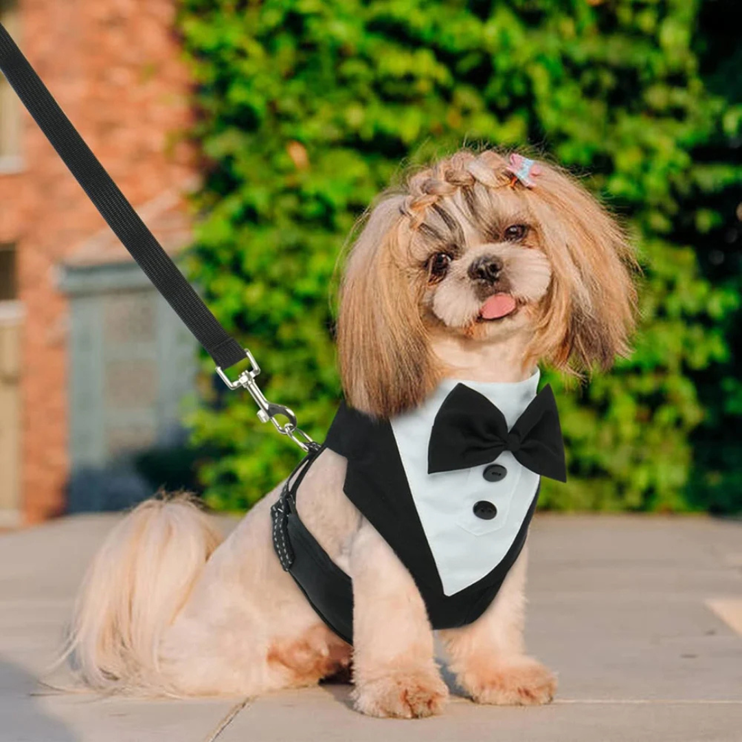 Nordspur | Pawxedo Adjustable Bow Tie Vest Harness