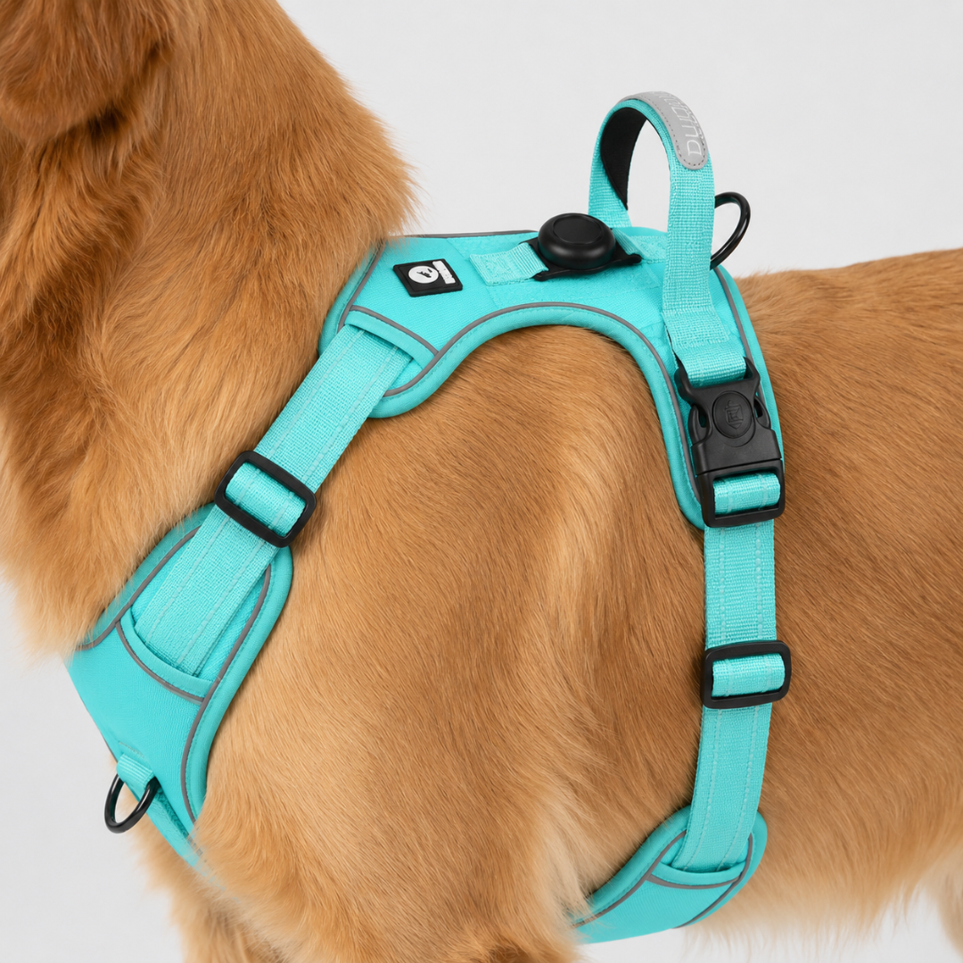 Nordspur | Strutpaw Adjustable No-Pull Chest Harness