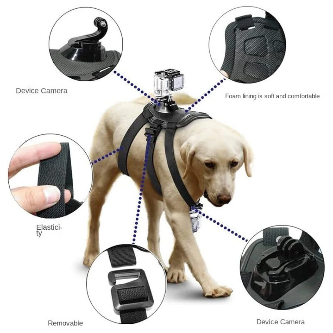 Nordspur | Pawcam Adjustable Chest And Back Camera Harness