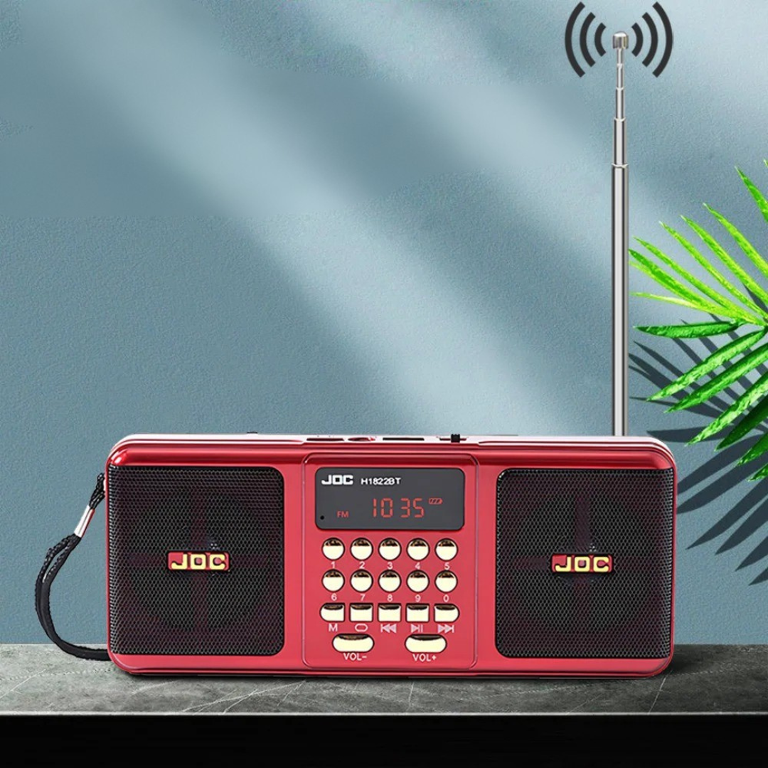 Nordspur | Soundroam Portable Rechargeable Radio Speaker