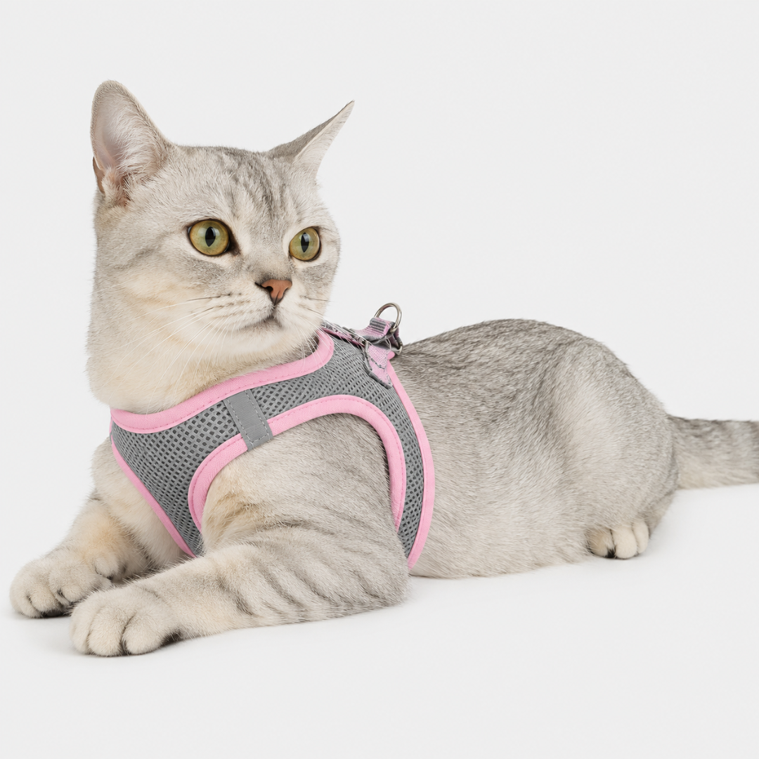 Nordspur | Snoutfit Adjustable Vest Harness With Matching Lead