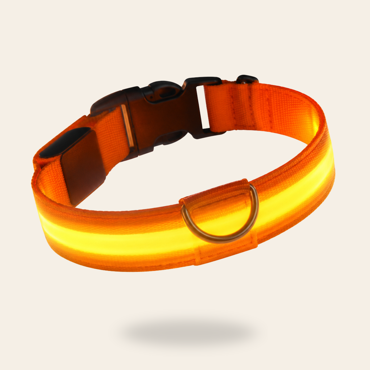 LED Dog Collar