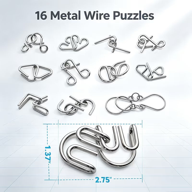 Metal Montessori Puzzle Solving