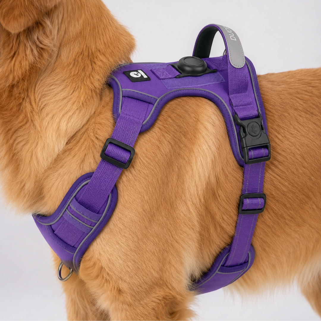 Nordspur | Strutpaw Adjustable No-Pull Chest Harness