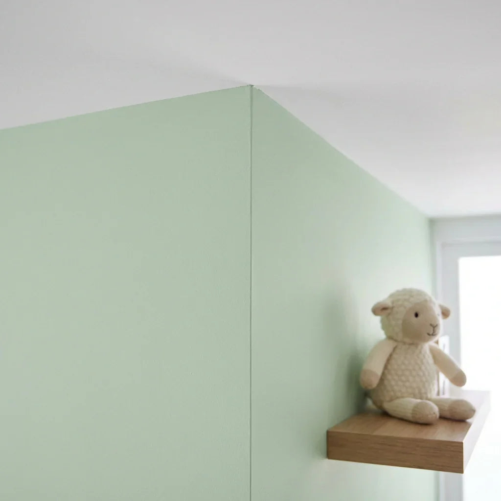 Paint Edger