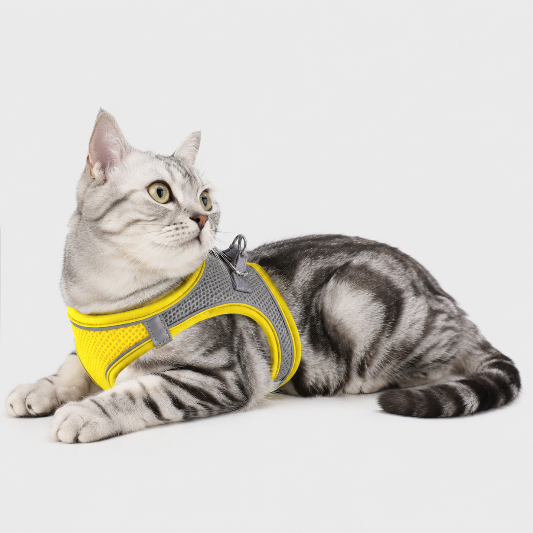Nordspur | Snoutfit Adjustable Vest Harness With Matching Lead