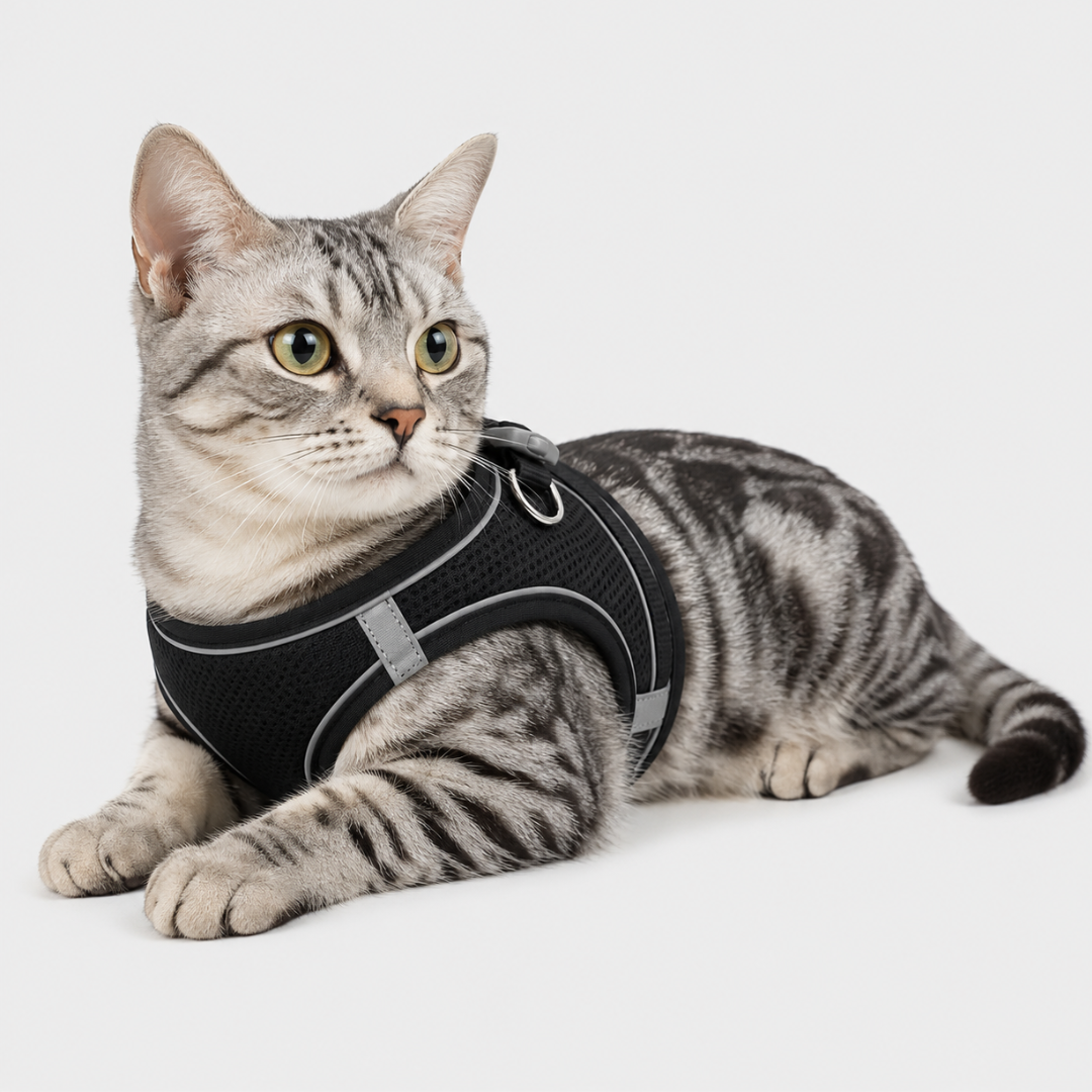 Nordspur | Snoutfit Adjustable Vest Harness With Matching Lead