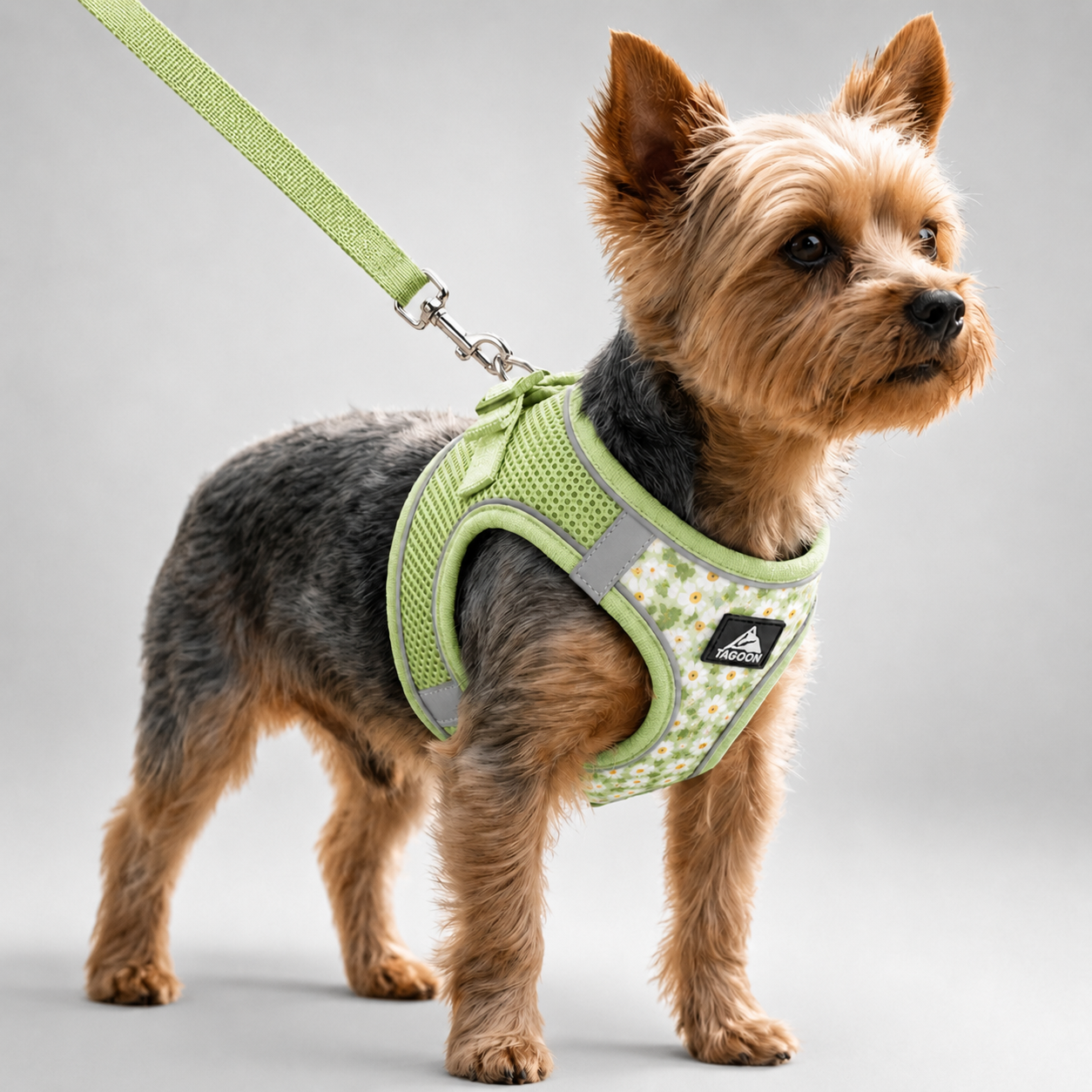 Nordspur | Striddler Adjustable No-Pull Pet Harness Set