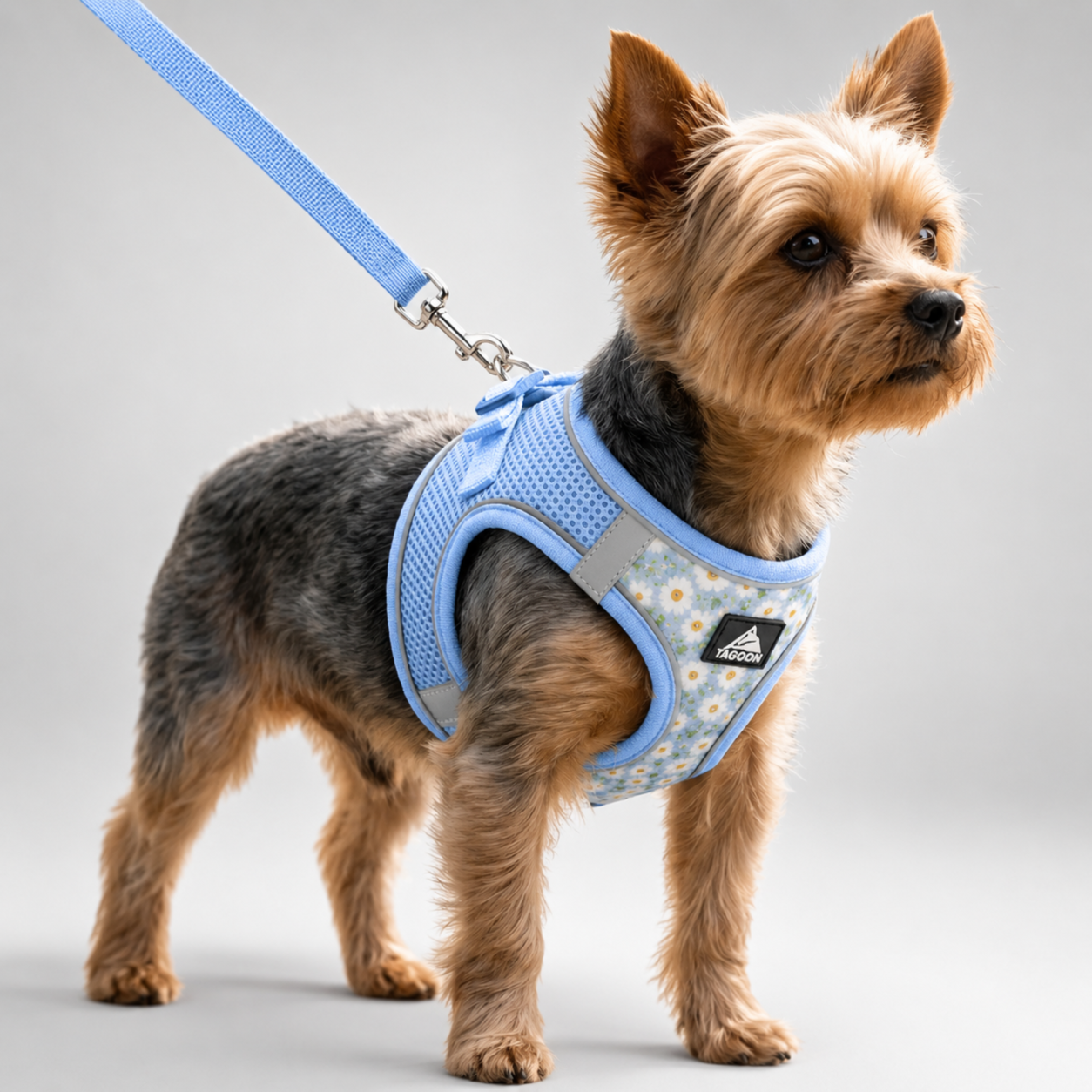 Nordspur | Striddler Adjustable No-Pull Pet Harness Set