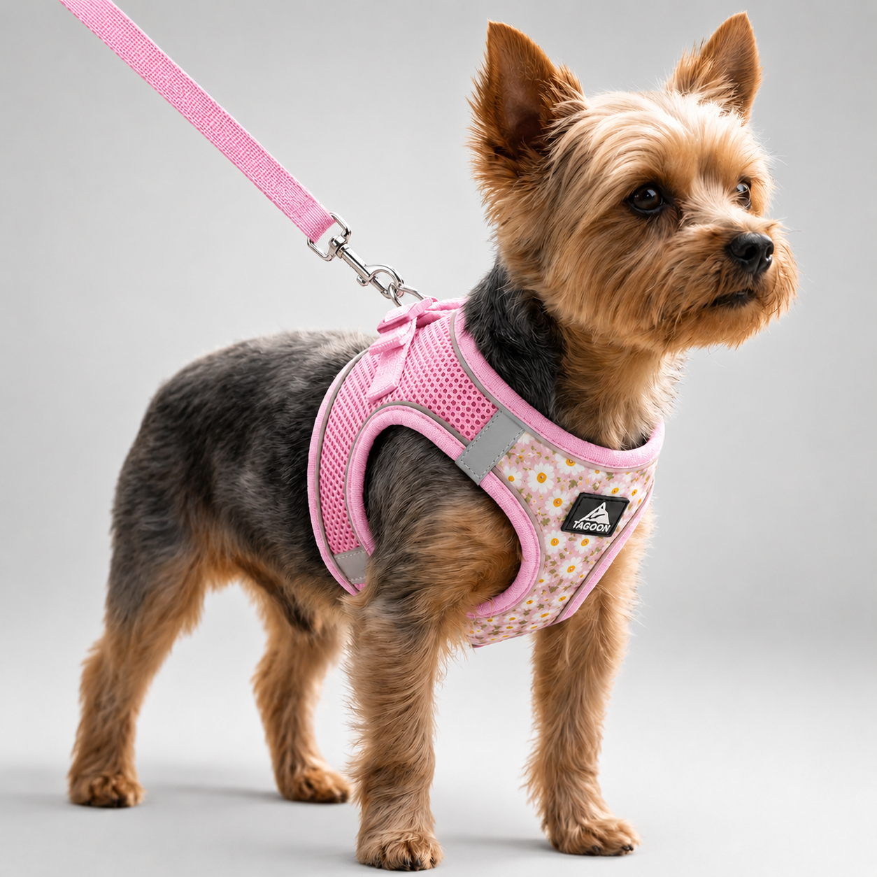 Nordspur | Striddler Adjustable No-Pull Pet Harness Set