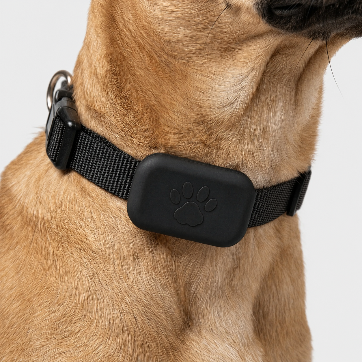 Nordspur | Pawtrax Waterproof Mini GPS Pet Collar Tracker
