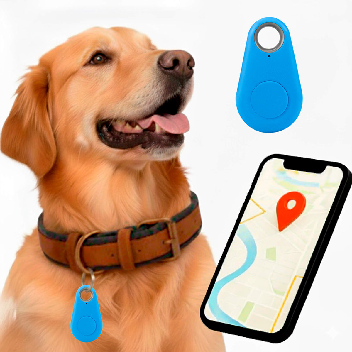 Dog GPS Tracker No Monthly Fees, Real-Time Location Updates