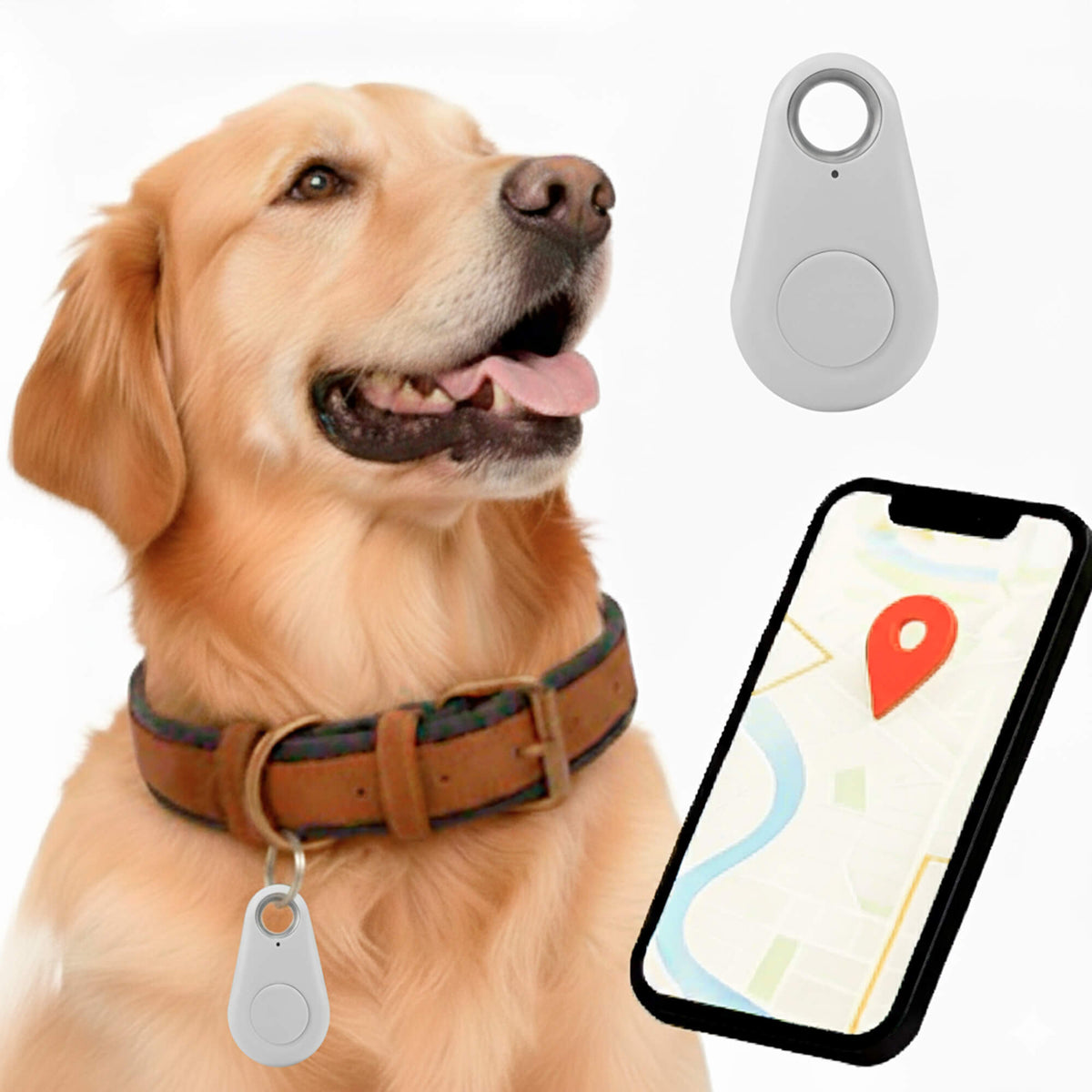 Dog GPS Tracker No Monthly Fees, Real-Time Location Updates
