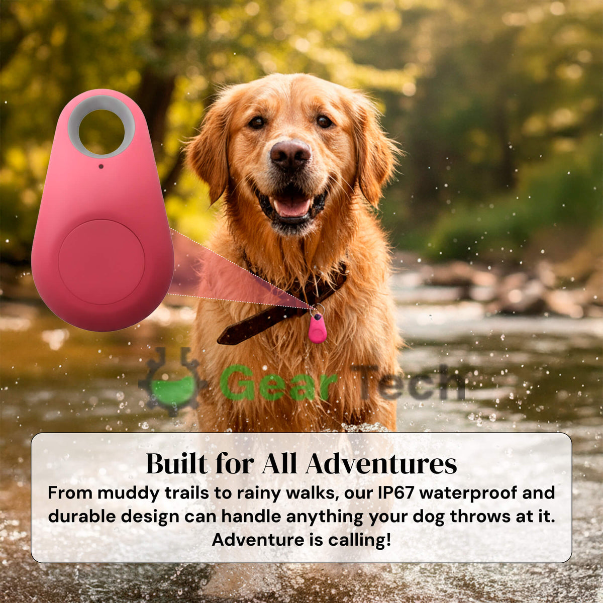 Dog GPS Tracker No Monthly Fees, Real-Time Location Updates