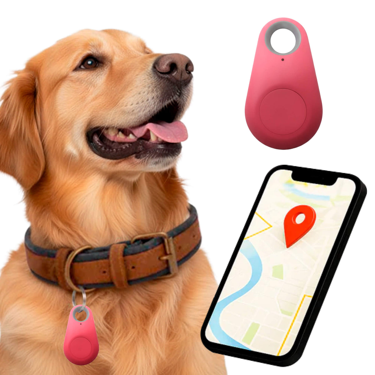 Dog GPS Tracker No Monthly Fees, Real-Time Location Updates
