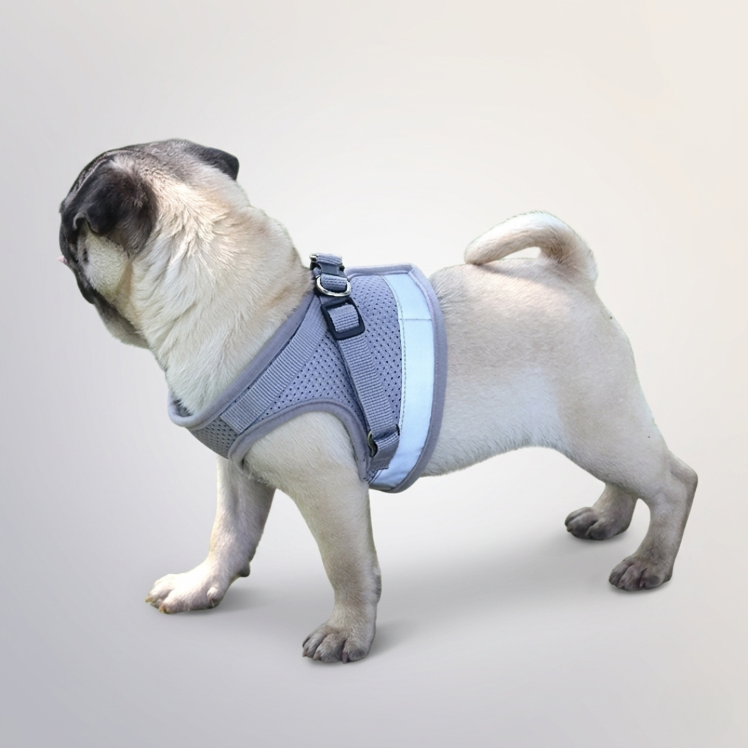 Nordspur | Vestipet Adjustable Reflective Vest Harness For Small Dogs