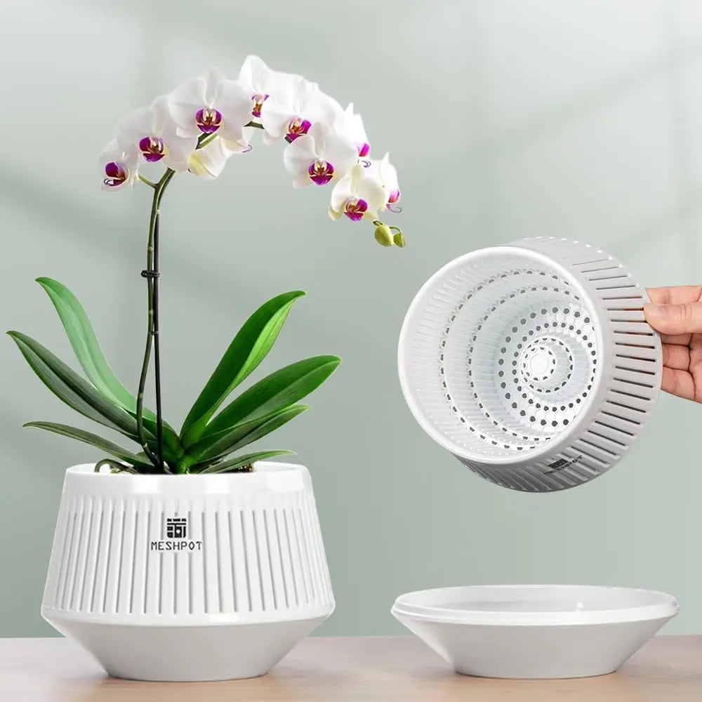 Nordspur | Aerabowl Ventilated Indoor Orchid Planter