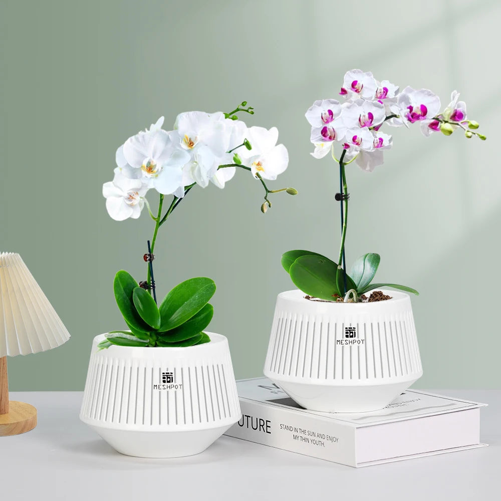 Nordspur | Aerabowl Ventilated Indoor Orchid Planter