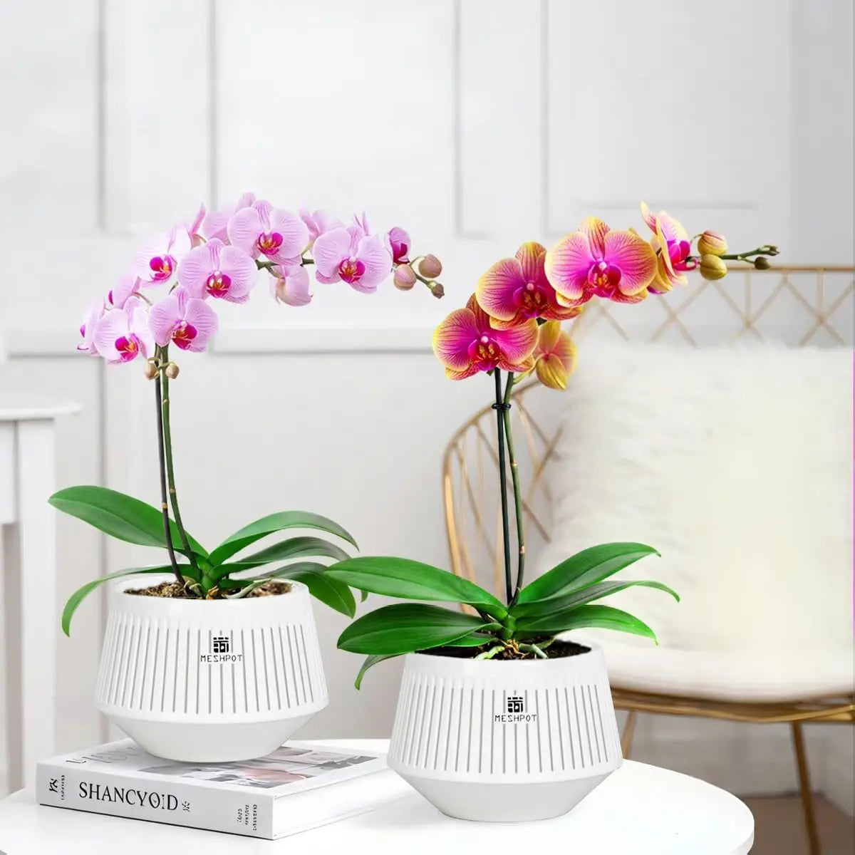 Nordspur | Aerabowl Ventilated Indoor Orchid Planter