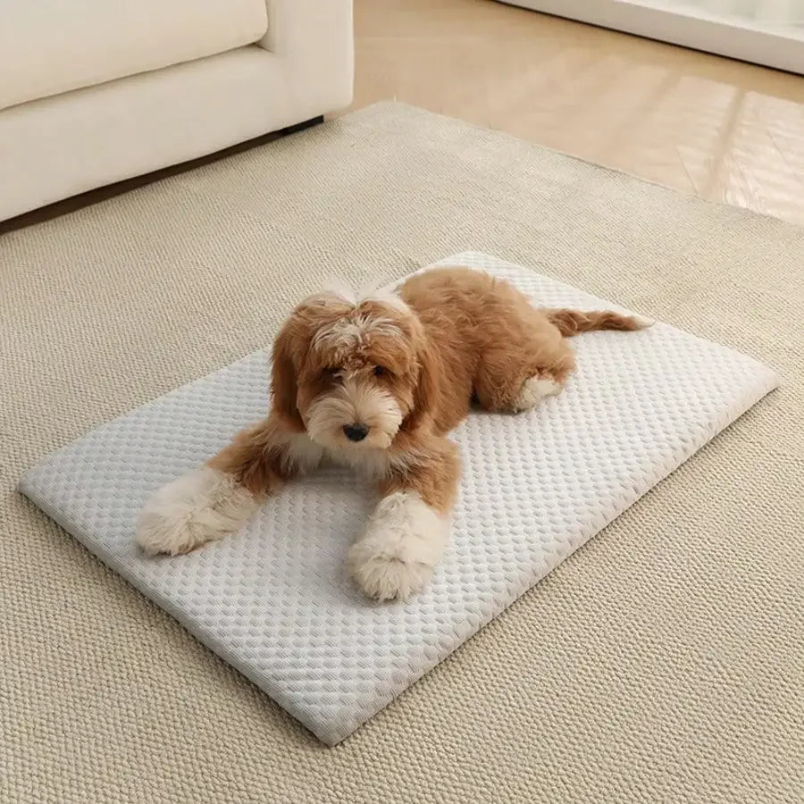Nordspur | Aerapad Textured Breathable Pet Cooling Mat