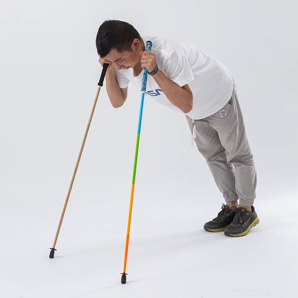 Nordspur | AeroTrek Ultra Light Carbon Trekking Pole